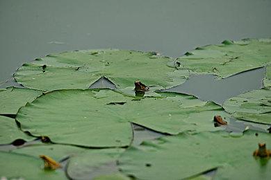 类银河恶魔城《影下九载》11月9日登陆Switch